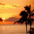 Silhouetted palm trees against a sunset sky over water, with the rightmost tree's silhouette shifting position across frames.
