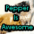 Four quadrants display dog and horse images with overlaid text: top-left dog with "Pepper Is Awesome," top-right horse with "Dizzy Was So Cute," bottom-left dog with "Didi Is Cute," bottom-right horse with "Buddy Rox."