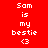 Red and orange pixelated text displays 'Sam is my bestie <3' with background color changes between frames.