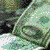 A 4-frame animated contact sheet showing a green rolled paper icon with white edges, displayed on a gray transparency background.