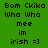 Green background with black text reading "Bom Ckika Who Who mee im irish =]" arranged in a , some highlighted orange