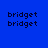 Blue background with four instances of the word 'bridget' in dark pixelated text, each paired with a green rectangular block positioned differently relative to the text.