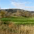 Pixelated landscape with green fields, brown terrain, and blue sky with white clouds, rendered in low-resolution style.