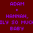 Pixelated text displays 'ADAM', '+', 'HANNAH,', 'SO MUCHLY SO MUCHLY SO MUCH', and 'BABY' in purple on a dark red background with intermittent red rectangular highlights.