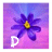 iconhell_mirrastarr_dawn1