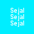 Four quadrants display repeated text 'Sejal' in white pixelated font against solid cyan, light purple, magenta, and blue backgrounds.