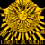 A 50x50 pixel animated buddy icon featuring a golden sunburst design on the left and green text reading "Original Icons .com" on the right, displayed as a contact sheet with two frames.