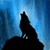 Silhouette of a wolf on a rock howling against blue gradient background with light rays.