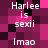 Pixelated text displays 'Harlee is sexii' and 'lmao' on a magenta and black checkered background with visible pixelation.