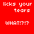 Pixelated text on red and black backgrounds with repeated phrases 'licks your tears' and 'WHAT!?!?' in white font.