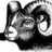 Black-and-white pixelated ram head on white background, blue text "Go" on yellow background, blue text "Rams" on yellow background, gray background section.