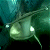 A 50x50 pixel animated buddy icon featuring a stylized fish character against a dark blue background with green text reading "Original Icons .com" on the right side.