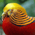 A pixelated close-up of a bird with yellow head, orange-brown striped body, and red chest against a blurred green and blue background.