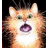 A contact sheet of a 5-frame animated icon showing a pixelated orange cat with green eyes and an open mouth, surrounded by repeated text "You make kitty scared" in brown pixelated font across multiple frames.