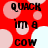 Red background with pink and white circles; black text 'QUACK im a COW QUACK' arranged in four , repeated across the image