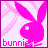 iconhell_bunnie