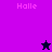 Pixelated icon with 'Halle' text and star symbols on purple, dark purple, and navy backgrounds.
