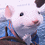 A pixelated animated contact sheet showing a white mouse character in blue clothing on the left and green text reading "Original Icons .com" on the right against a dark background.