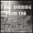 15 static frames showing text "I WAS RUNNING FROM THE" with a stylized 'truth' symbol, where color variations and partial yellow highlights change across the sequence