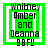 Green square icon with white border containing text "Whibney Amber and Deanna B8FL" in black pixelated font, showing animation changes