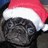 Pixelated image of a dark-furred dog wearing a red and white Santa hat with blue eyes, set against a bright red background with pixelated text.