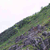 Pixelated green and purple terrain with a diagonal edge against a light background.