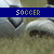 Animated soccer ball with black and white , blue banner displaying 'SOCCER' text above it on a grassy field background