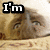 A four- shows a cat's face with changing text overlays: 'I'm', 'Not', 'Okay', and '(I Promise)'