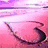 Animated pink heart-shaped icon with a dark outline, transitioning to a heart-shaped frame over a landscape background, then to a colorful zebra with 'lolz' text.