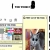 A pixelated image shows a dog with gray and brown fur, dark eyes, and a black nose inside a light yellow frame on the right side of the screen.