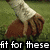 A hand wearing a white wristband and brown glove holds a brown object on green grass, with text overlays reading "fit for these" and "laces."