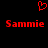 Red pixelated heart symbol above two identical red 'Sammi' text labels on black background.