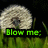 A dandelion seed head with green grass background and text reading 'Blow me.' in green and white pixelated fonts.