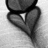 Black-and-white pixelated image of a heart shape formed by hands with the word 'love' above it, and 'will survive' below.