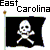 Black flag with white skull and crossbones on gray background, repeated in pattern