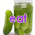 Four distinct display text over images: pickles with 'eat', a bed with 'sleep', blue water with 'swim', and a colorful swirl with 'repeat'