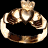 A 48x48 pixel buddy icon split into two sections: a black background with a golden ring and crown on the left, and a green background with "Original Icons .com" text on the right.