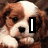 A four- shows a brown and white puppy with text forming "I Love Dogs!"