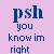 Pixelated static image with text on a pink gradient background, featuring blue and purple pixelated letters spelling out "PSH you know im right" in four lines.