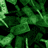 A contact sheet of five animated frames showing a green pixelated pattern with repeated text elements on a gray background.