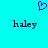 Pixelated blue heart above two instances of the name 'haley' on a cyan background.