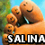 Pixelated image of a large orange character with multiple smaller versions, all smiling, against green and blue background with 'SALINA' text at bottom.