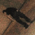 A black silhouette of a person in a bent-over pose on a brown-tiled background with a gray border.