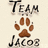 A four- of pixelated images: top-left shows 'TEAM Jacob' text with a brown paw print, top-right features a person in dark clothing holding a reflective sphere, bottom-left displays black wolf silhouettes on white, and bottom-right contains three people in light-colored shirts