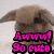 Pixelated image of a brown rabbit-like creature with pink text reading 'Awww! So cute.' and blue text above a person's head.