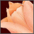A static pixelated image of a light pink flower with layered petals against a dark red background.