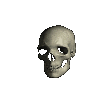 A grayscale 3D-rendered skull rotates through multiple angles against a solid light gray background, showing front, side, and back views.