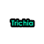 Six pixelated text labels arranged in two on white background, each with distinct color and outline styles