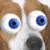 Pixelated close-up of a dog's face showing large blue eyes with dark pupils, light brown fur around the eyes, and a black nose against a blurred background.