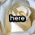 A four- shows a golden rose with white highlights, each displaying different text: 'here', 'comes the', and 'bride' across three